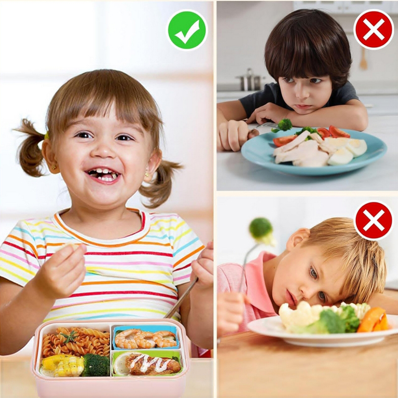 Diviseurs de boîte à lunch en  - Bento Box avis et prix